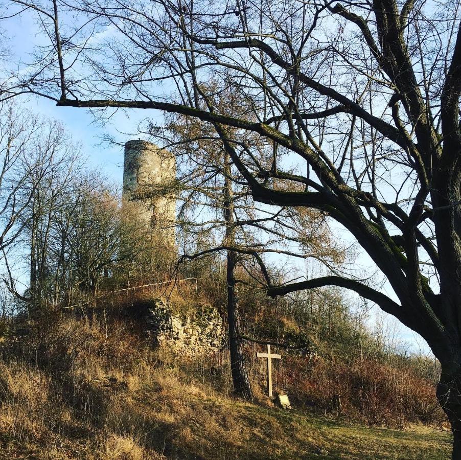 Ferienwohnungen Lausbuben & Zicken - Im Grunen Herzen Deutschlands Herleshausen Kültér fotó